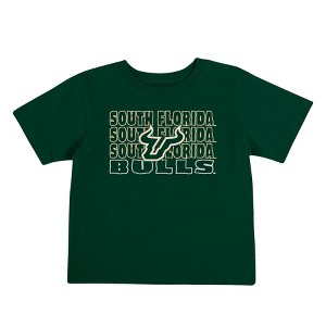 NCAA South Florida Bulls Toddler Boys' 2pk T-Shirt - 1 of 4