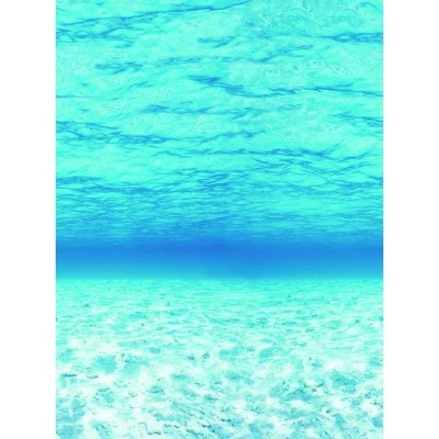 Fadeless Designs Paper Roll, Under the Sea, 48 Inches x 50 Feet