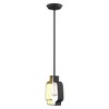 Livex Lighting Meadowbrook 1 - Light Pendant in  Black/Brushed Nickel - 4 of 4