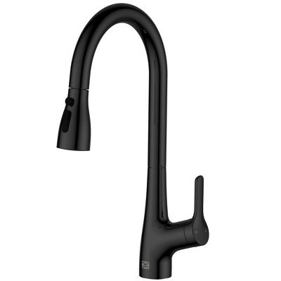 Elegant Lighting Andrea Single Handle Pull Down Sprayer Kitchen Faucet in Matte Black