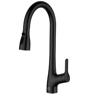 Elegant Lighting Andrea Single Handle Pull Down Sprayer Kitchen Faucet in Matte Black - 1 of 4