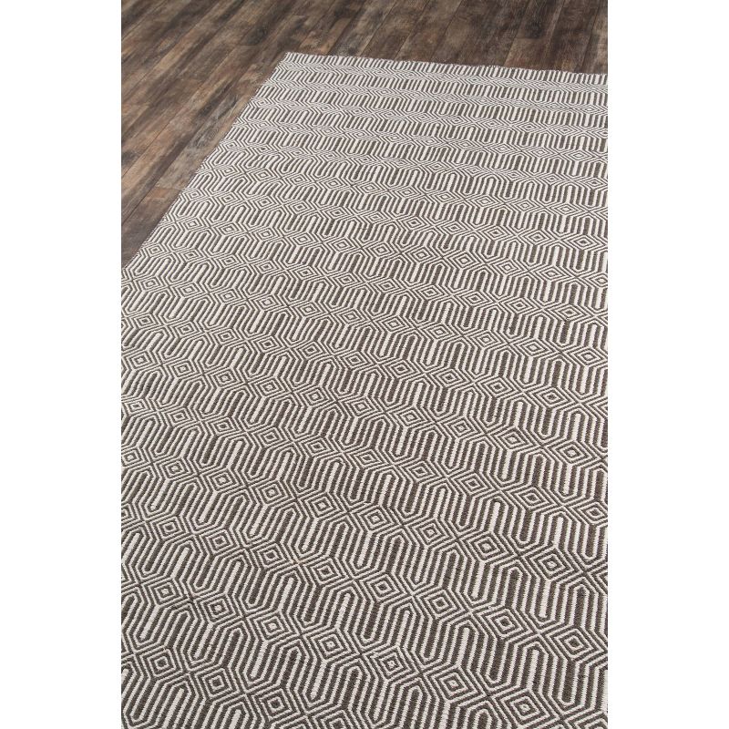 Newton Holden Hand Woven Recycled Plastic Indoor/Outdoor Rug Brown - Erin Gates by Momeni, 3 of 10