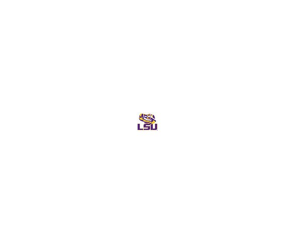 NCAA LSU Tigers Necktie