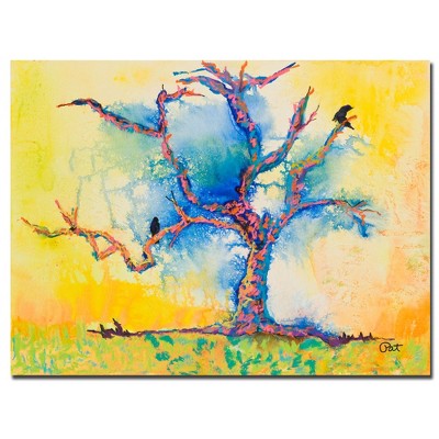 Trademark Fine Art -Pat Saunders-White 'Wind Riders' Canvas Art