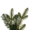 Vickerman Georgian Fraser Fir Wreath - 3 of 4