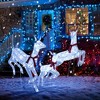 Tangkula 3-Piece Christmas Lighted Reindeer Family Set Xmas Pre-Lit Reindeer with 255 Cold White LED Lights Ground Stakes & Zip Ties - 4 of 4