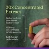 New Chapter Berberine 1000mg Herbal Supplement Tablets Vegan - 60ct - 4 of 4