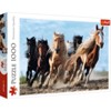 Trefl Galloping Horses Jigsaw Puzzle - 1000pc - 2 of 3