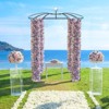 Tangkula Birdcage Shape Garden Arch 9.4 x 6.8FT Heavy Duty Arch Trellis with Hanging Hook for Climbing Plants - 2 of 4