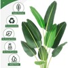 Artificial Bird of Paradise Plant 4/5/6FT (48/60/72 in) Fake Palm Tree for Indoor Outdoor Modern Decor Faux Plants - 3 of 4