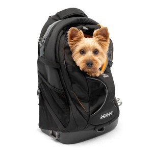 Kurgo Small G-Train Backpack Dog and Cat Carrier - 1 of 4