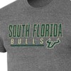 NCAA South Florida Bulls Men's Gray Tri-Blend Short Sleeve T-Shirt - 3 of 3