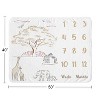 Sweet Jojo Designs Gender Neutral Baby Milestone Blanket Serengeti Animals Multicolor - 3 of 4