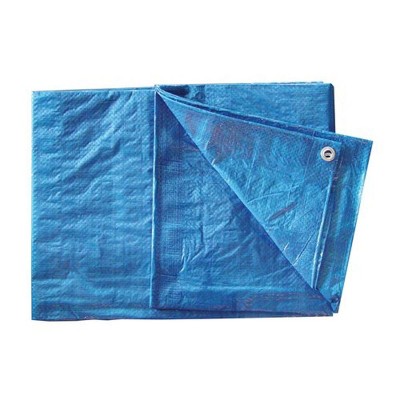 Bon Tool 84-530 Blue Poly Tarp - 20 Foot X 40 Foot