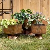Sullivans 11.25", 10.25" & 9.25" Scalloped Footed Planter Set of 3, Metal - 3 of 3