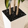 DR.Planzen UV Resistant Artificial 6-7FT Tall Pre Potted Dracaena Tree with White/Brown Tall Square Planter for Indoor Outdoor House Home Decor - 4 of 4
