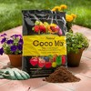 Envelor Potting Soil Mix 10 Quarts Indoor Plants Soil for Outdoor Plants - 2 of 4