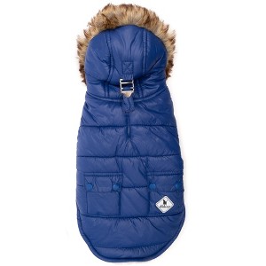 The Worthy Dog Park City Puffer Hoodie Jacket - 1 of 3