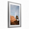 Stupell Industries Joshua Tree & Canyon Framed Print Under Glass Art - 2 of 4