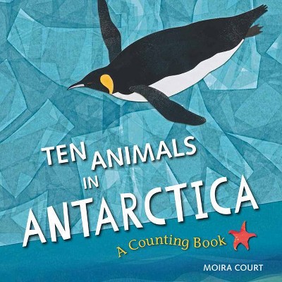 Ten Animals in Antarctica - by  Moira Court (Hardcover)