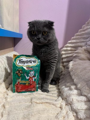 Guest review image 2 of 2, zoom in