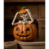 Bethany Lowe 13.0 Inch Pop Up Shelly Halloween Bones Pumpkin Pumpkin Figurines - 3 of 3