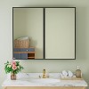 Elise Medicine Cabinet with Mirror, Surface or Recessed Bathroom Medicine Cabinet, Adjustable Tempered Glass Shelves, Reversible, Black - 2 of 4