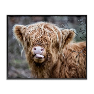 Stupell Industries Baby Cattle Licking Lips, 30" x 24"