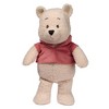 Bedtime Originals Disney Baby Winnie the Pooh Plush Stuffed Animal Toy - 2 of 4