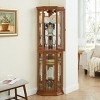 Lighted Corner Curio Cabinet, Display Cabinet with Shelves, Tempered Glass Door Corner China Cabinet for Living or Dining Room - Koiai - 2 of 4