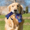 KONG Wubba Toss & Fetch Dog Toy - 3 of 3