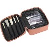 Away Cosmetics Bag, Makeup Bag with Detachable Brush Roll, Waterproof, Clear Zip Pockets, Travel Friendly, Clay Pink - 4 of 4