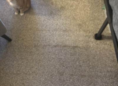Guest review image 1 of 1, zoom in
