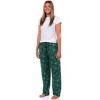 Wicked Pajamas Women's Elphaba Elements Destined To Fly Lounge PJ Pants - 2 of 4
