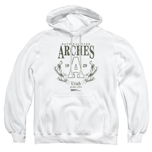 Men's Arches National Park Prickly Pear Wreath Pull-Over Hoodie - 1 of 4