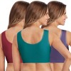 Collections Etc Seamles & Soft Comfort Bra-3pk - image 2 of 4