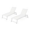PAGED Patio Lounge Chair Tiltable Recliner with Metal Frame and Mesh Modern Chaise Lounge for Garden, Poolside - 4 of 4