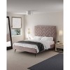 Manhattan Comfort Crosby Modern Velvet Upholstered Bed - 2 of 4