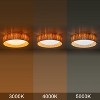 C Cattleya 14.25in Farmhouse 3CCT LED Flush Mount Ceiling Light with Paper Rope Shade - 4 of 4