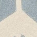 blue / ivory