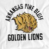 Men's University of Arkansas at Pine Bluff Official Golden Lions Logo T-Shirt - 2 of 4