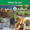 Miracle-Gro Water Soluble All Purpose Plant Food 4lb: Fertilizer for Flowers, Vegetables & Houseplants - 4 of 4