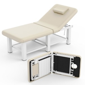 Dolonm 75" Professional Massage Table,Folding Metal Frame, 660LBS Capacity, Skin-Friendly PU Leather - 1 of 4