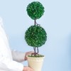 DSVIMOY Two-Tiered Faux Boxwood Sphere Topiary in Cream Pot, Faux Plants for Home Garden Office Store Decoration, Green, 7"*7"*22" - 4 of 4
