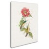 Katie Pertiet 'Colorful Hummingbirds I' Canvas Art - 2 of 3