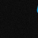 carolina panthers