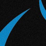 carolina panthers