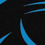 carolina panthers