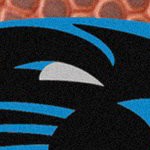 carolina panthers