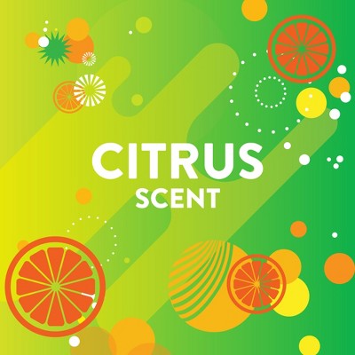 Scrubbing Bubbles Citrus Scent Bathroom Grime Fighter Disinfectant - 20oz